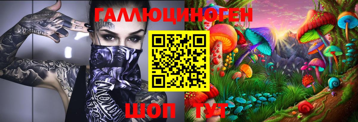 Калининград  Галлюциногенные грибы ЛСД  Вход с VPN 